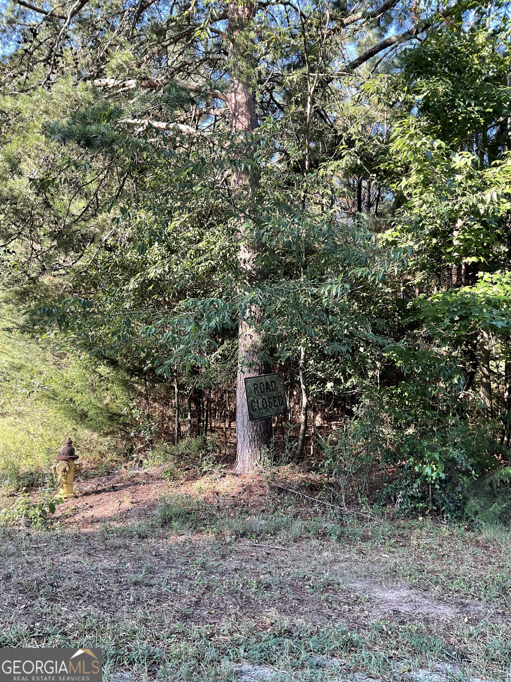 0 Bowers Street Bowman GA 30624