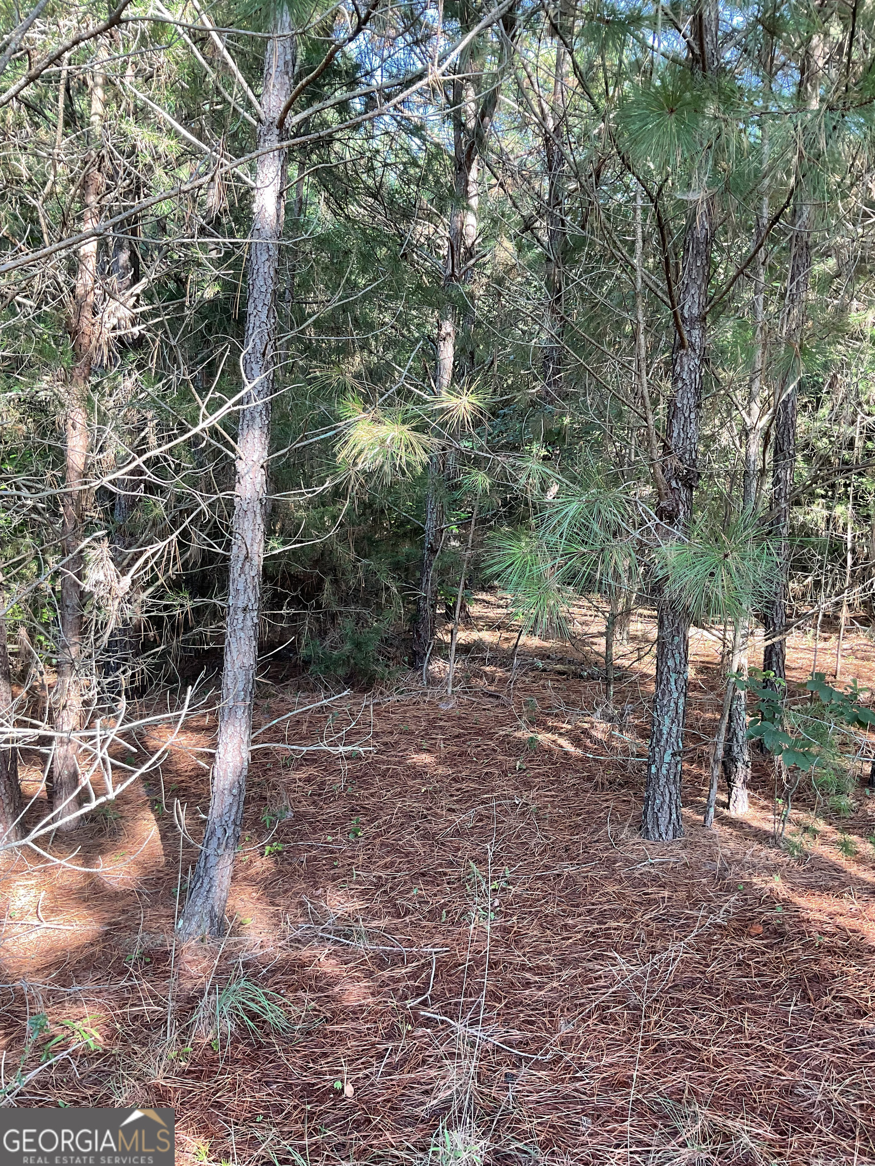 0 Bowers Street Bowman GA 30624