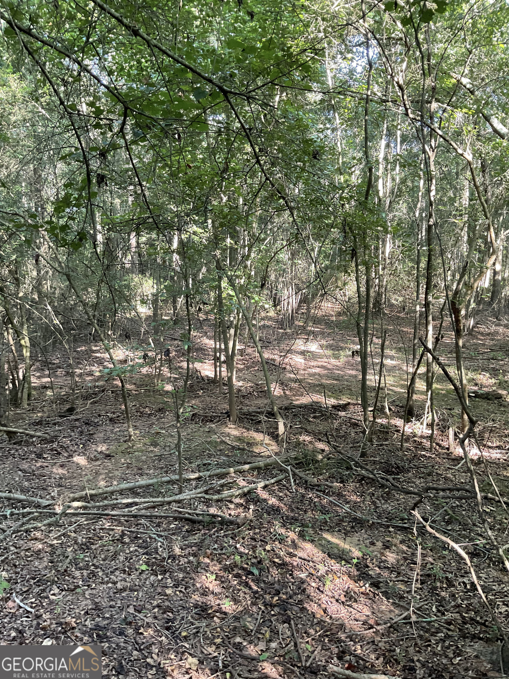 0 Bowers Street Bowman GA 30624