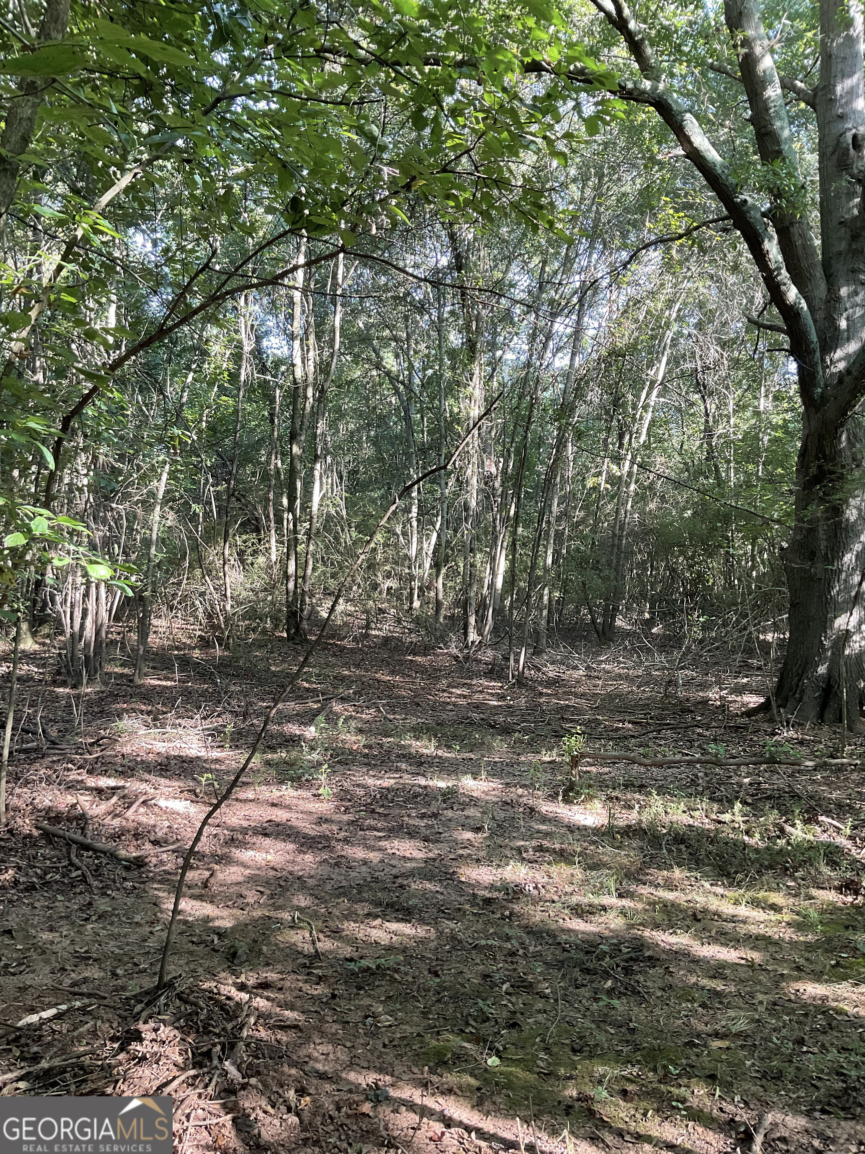 0 Bowers Street Bowman GA 30624
