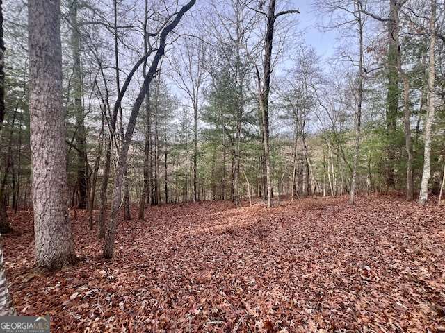 149 Hickory Way Blue Ridge GA 30513