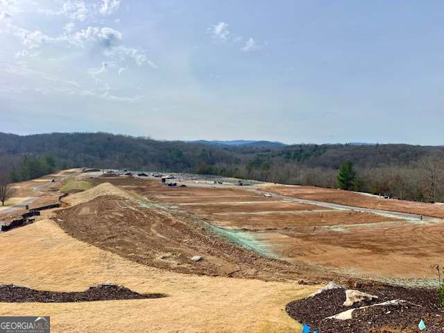 149 Hickory Way Blue Ridge GA 30513