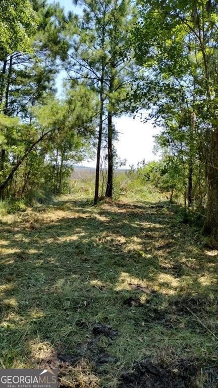 0 Briar Patch Lot 16 Place Townsend GA 31331