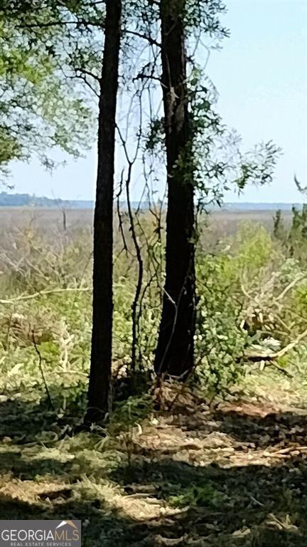 0 Briar Patch Lot 16 Place Townsend GA 31331