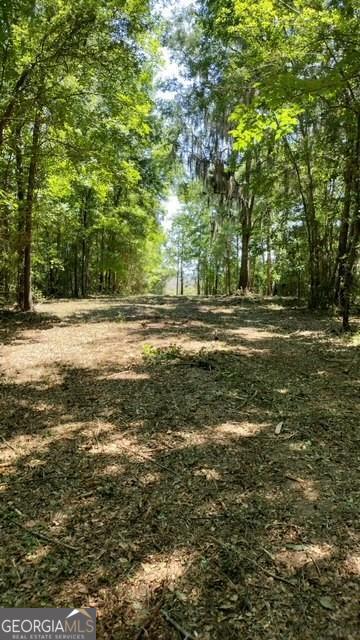 0 Briar Patch Lot 16 Place Townsend GA 31331