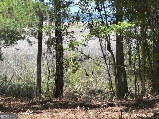 0 Briar Patch Lot 16 Place Townsend GA 31331