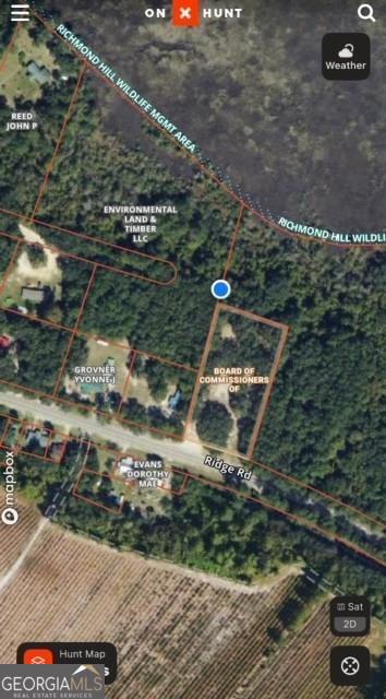 0 Briar Patch Lot 16 Place Townsend GA 31331