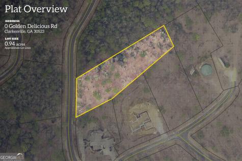0 Golden Delicious Road Clarkesville GA 30523