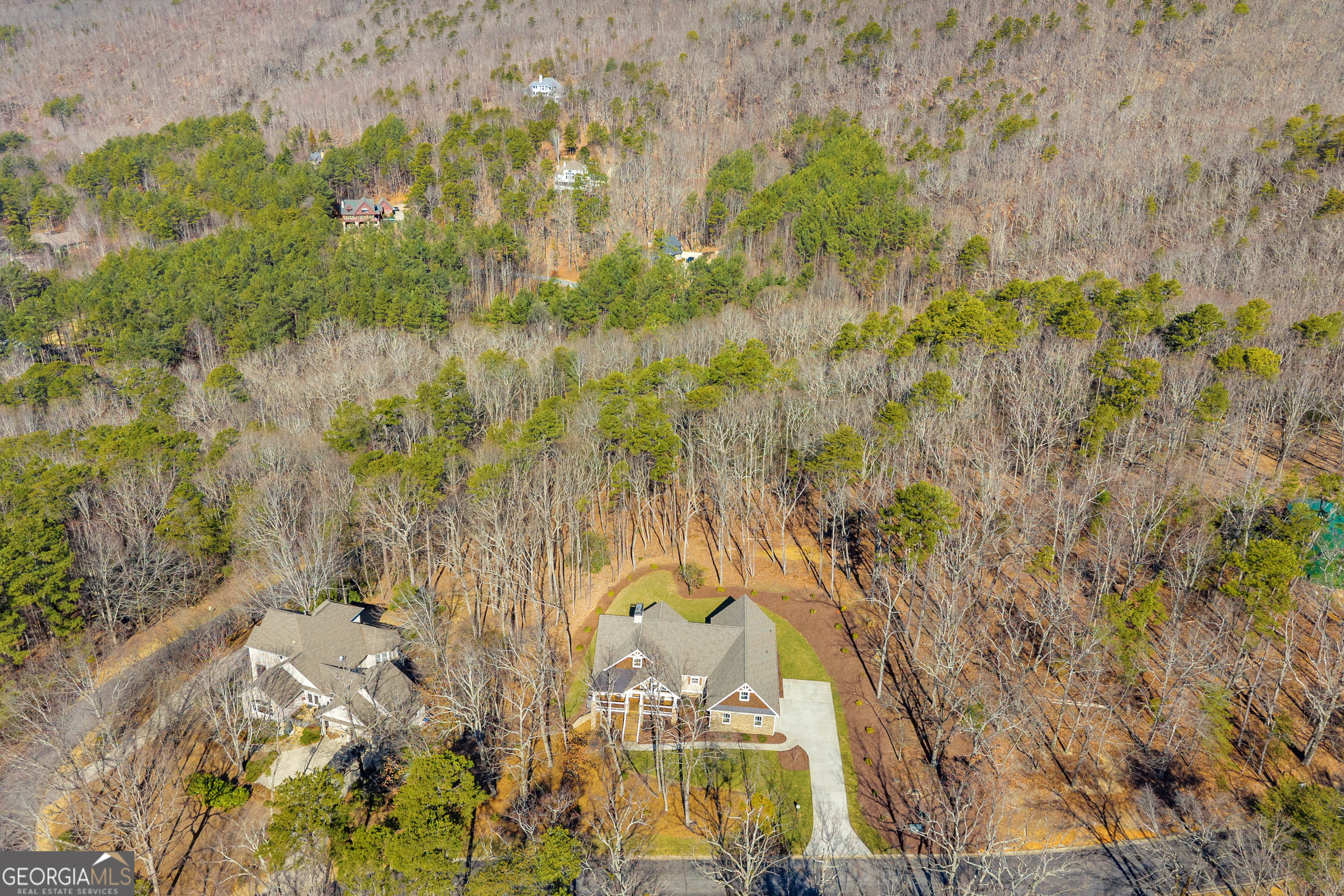 0 Golden Delicious Road Clarkesville GA 30523