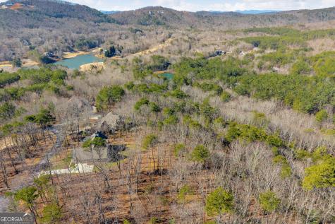 0 Golden Delicious Road Clarkesville GA 30523