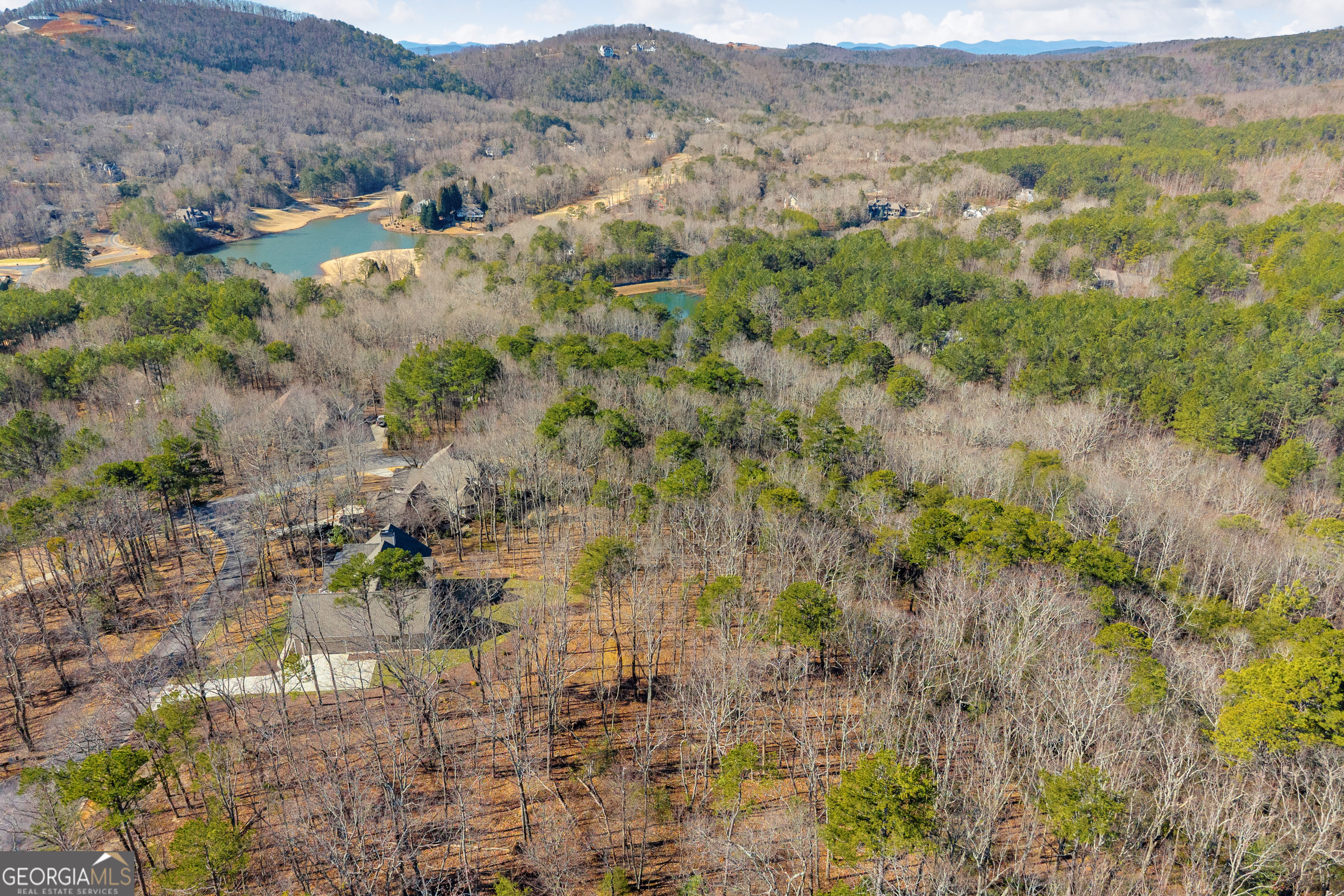0 Golden Delicious Road Clarkesville GA 30523