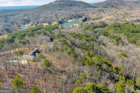 0 Golden Delicious Road Clarkesville GA 30523