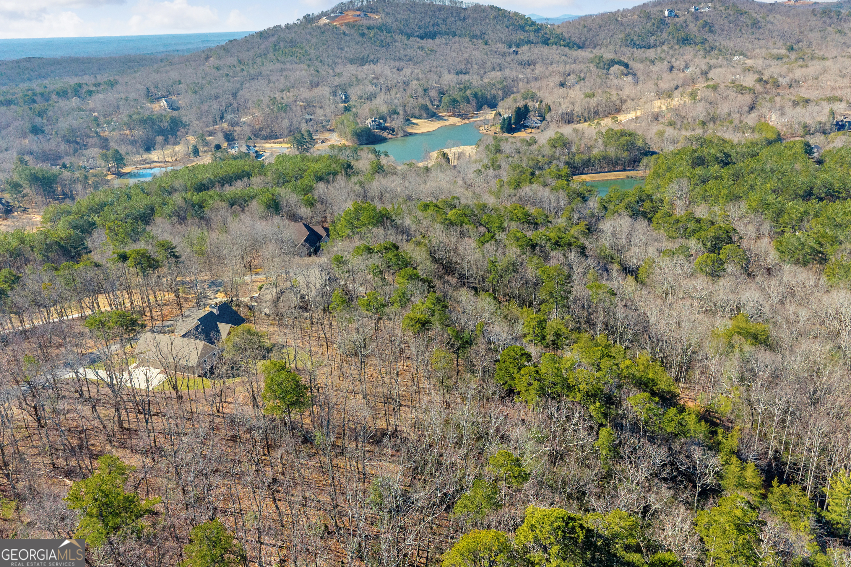 0 Golden Delicious Road Clarkesville GA 30523
