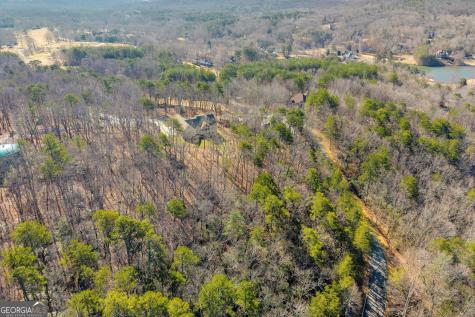 0 Golden Delicious Road Clarkesville GA 30523