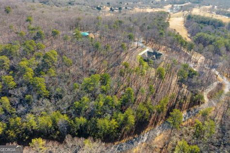 0 Golden Delicious Road Clarkesville GA 30523