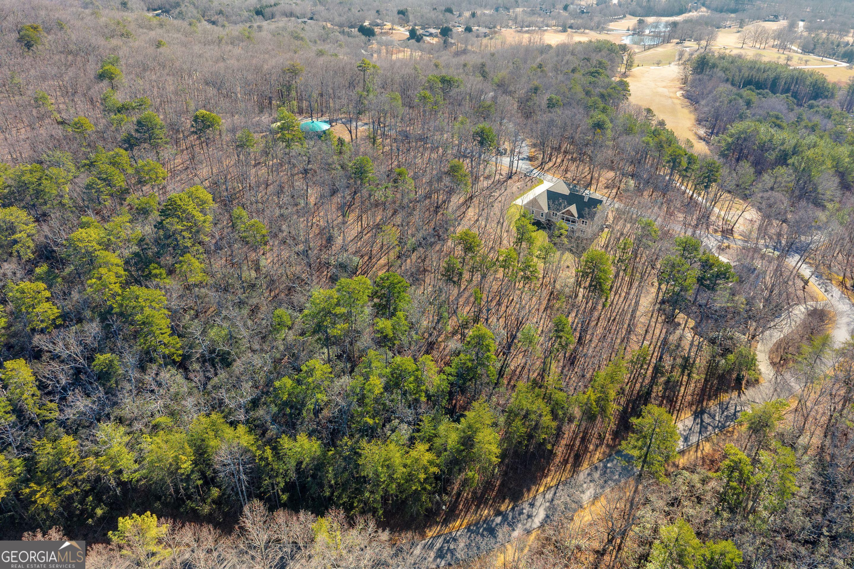 0 Golden Delicious Road Clarkesville GA 30523