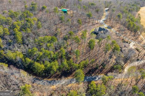 0 Golden Delicious Road Clarkesville GA 30523