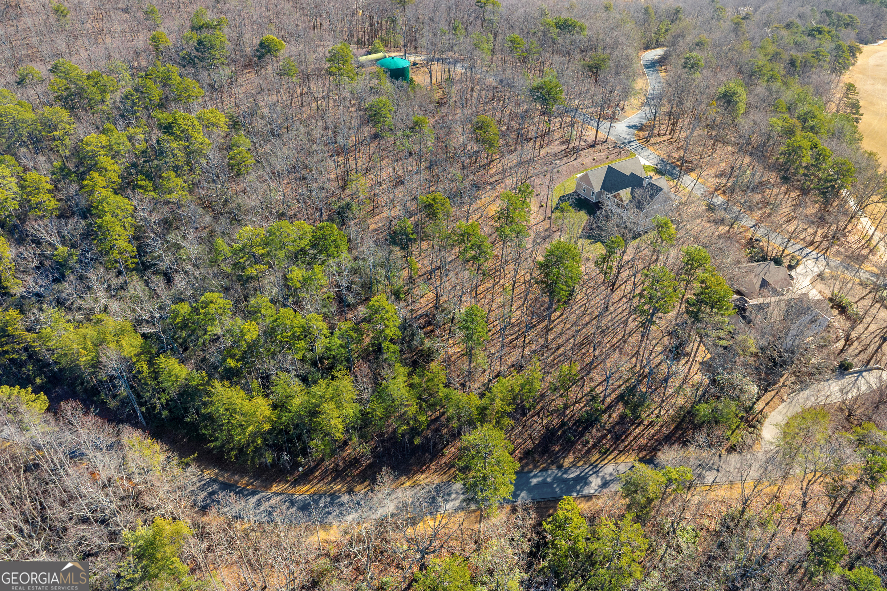 0 Golden Delicious Road Clarkesville GA 30523