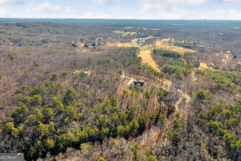 0 Golden Delicious Road Clarkesville GA 30523
