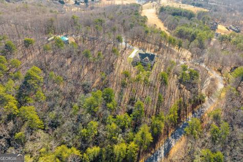 0 Golden Delicious Road Clarkesville GA 30523