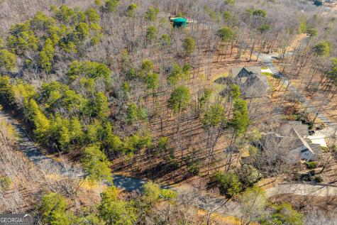 0 Golden Delicious Road Clarkesville GA 30523