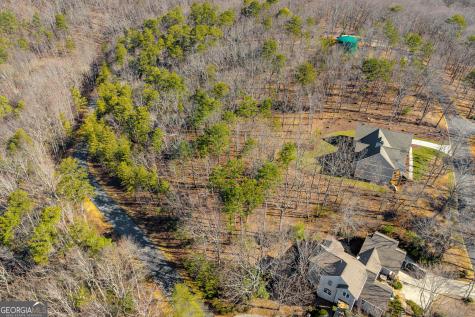 0 Golden Delicious Road Clarkesville GA 30523