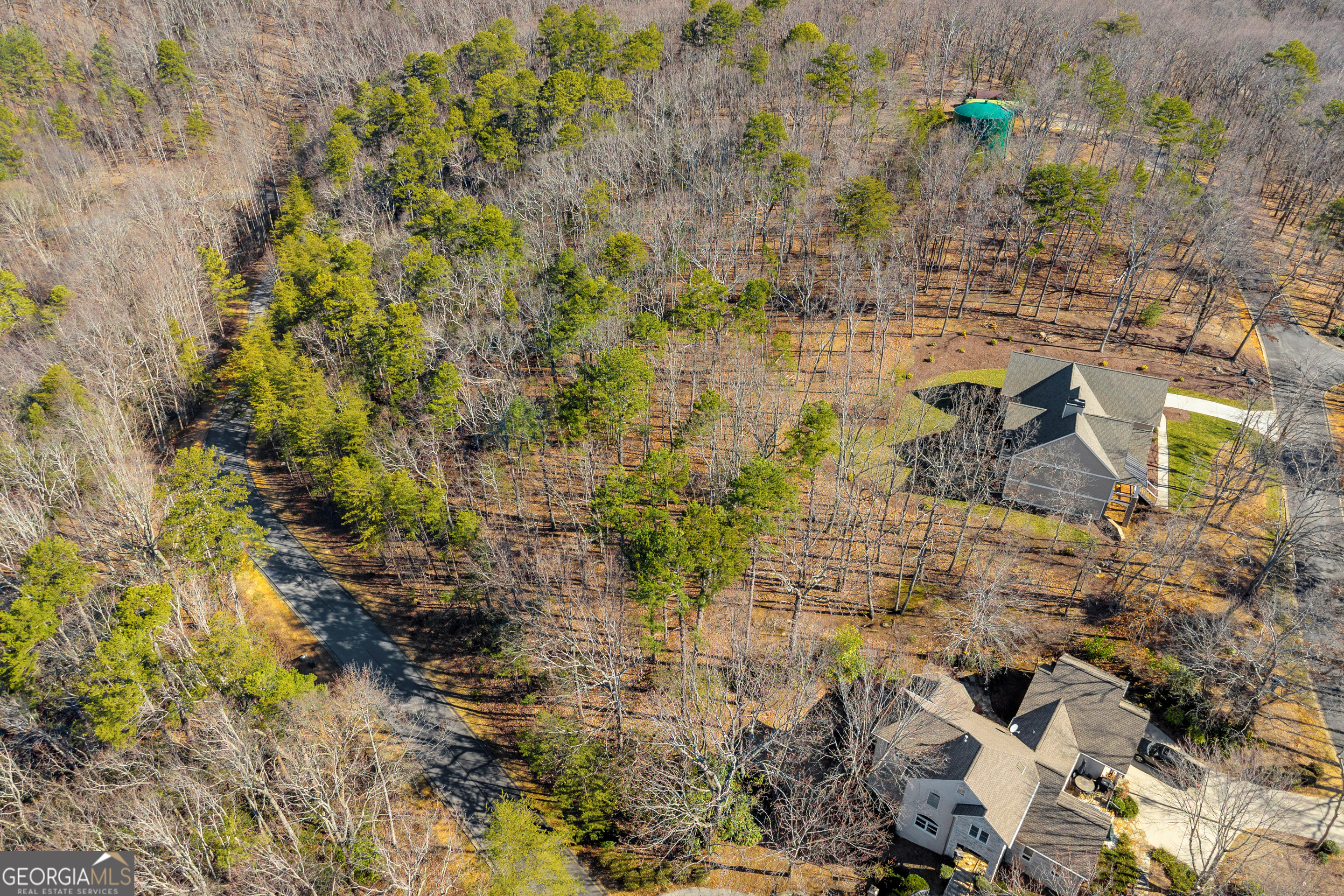 0 Golden Delicious Road Clarkesville GA 30523