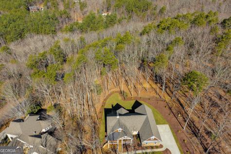 0 Golden Delicious Road Clarkesville GA 30523