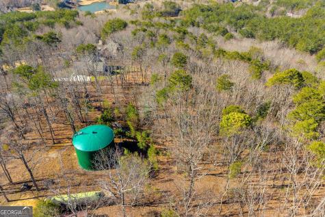 0 Golden Delicious Road Clarkesville GA 30523