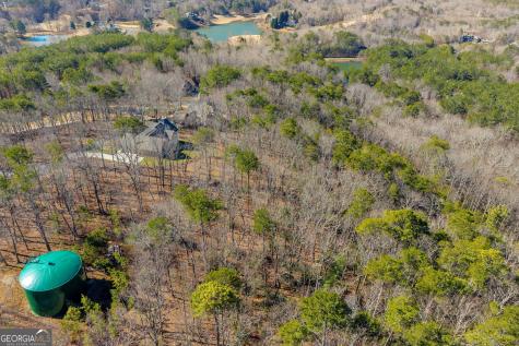0 Golden Delicious Road Clarkesville GA 30523