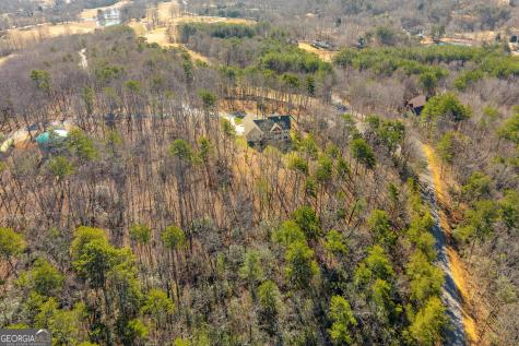 0 Golden Delicious Road Clarkesville GA 30523