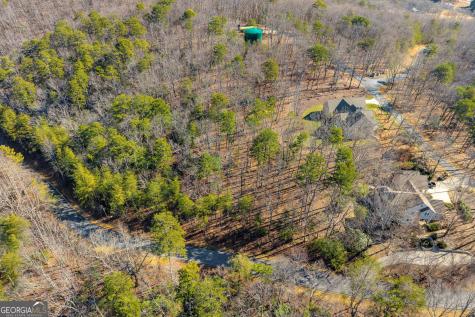 0 Golden Delicious Road Clarkesville GA 30523