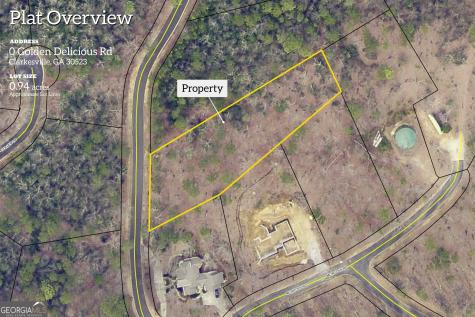 0 Golden Delicious Road Clarkesville GA 30523