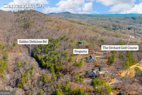 0 Golden Delicious Road Clarkesville GA 30523