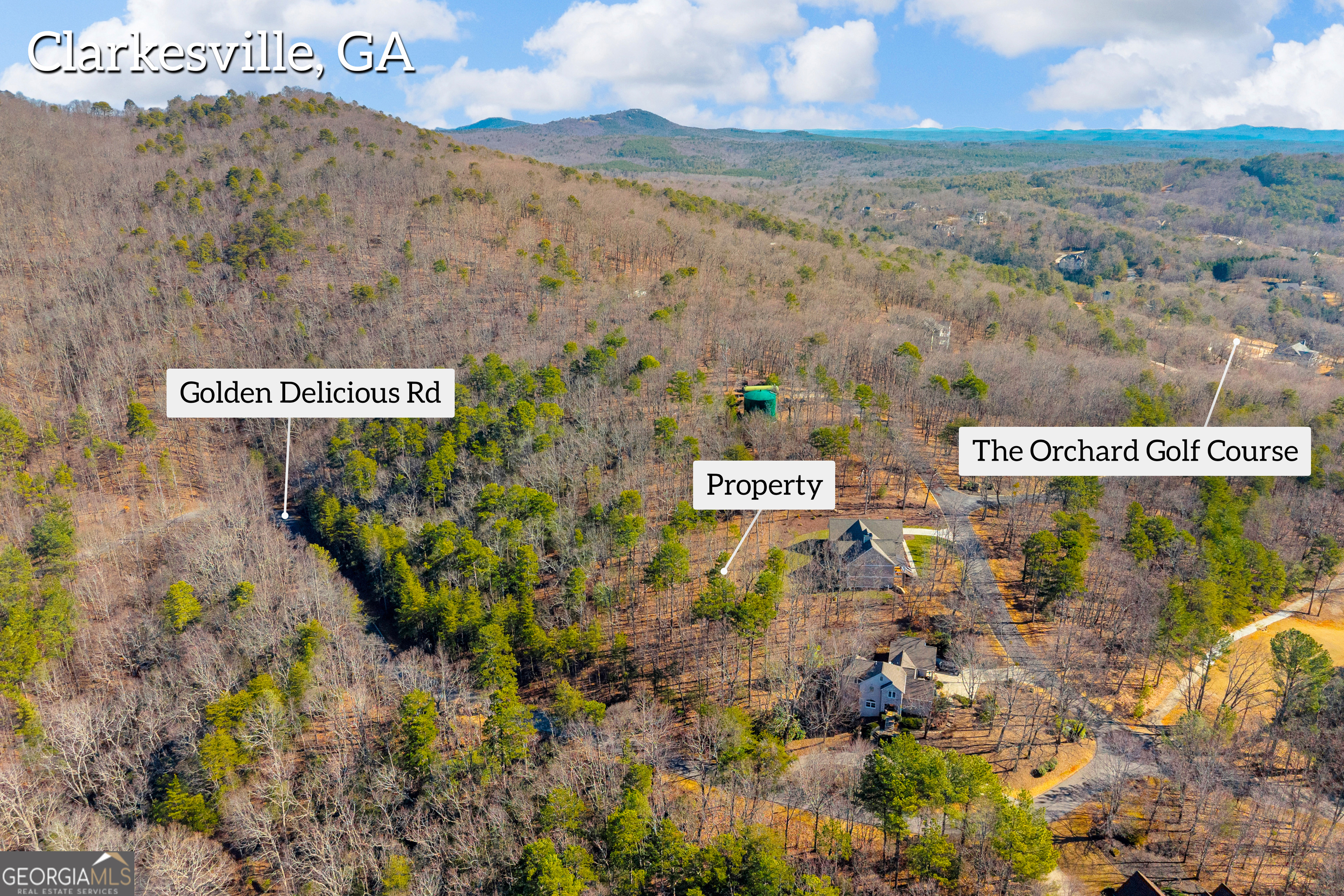 0 Golden Delicious Road Clarkesville GA 30523