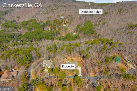 0 Golden Delicious Road Clarkesville GA 30523