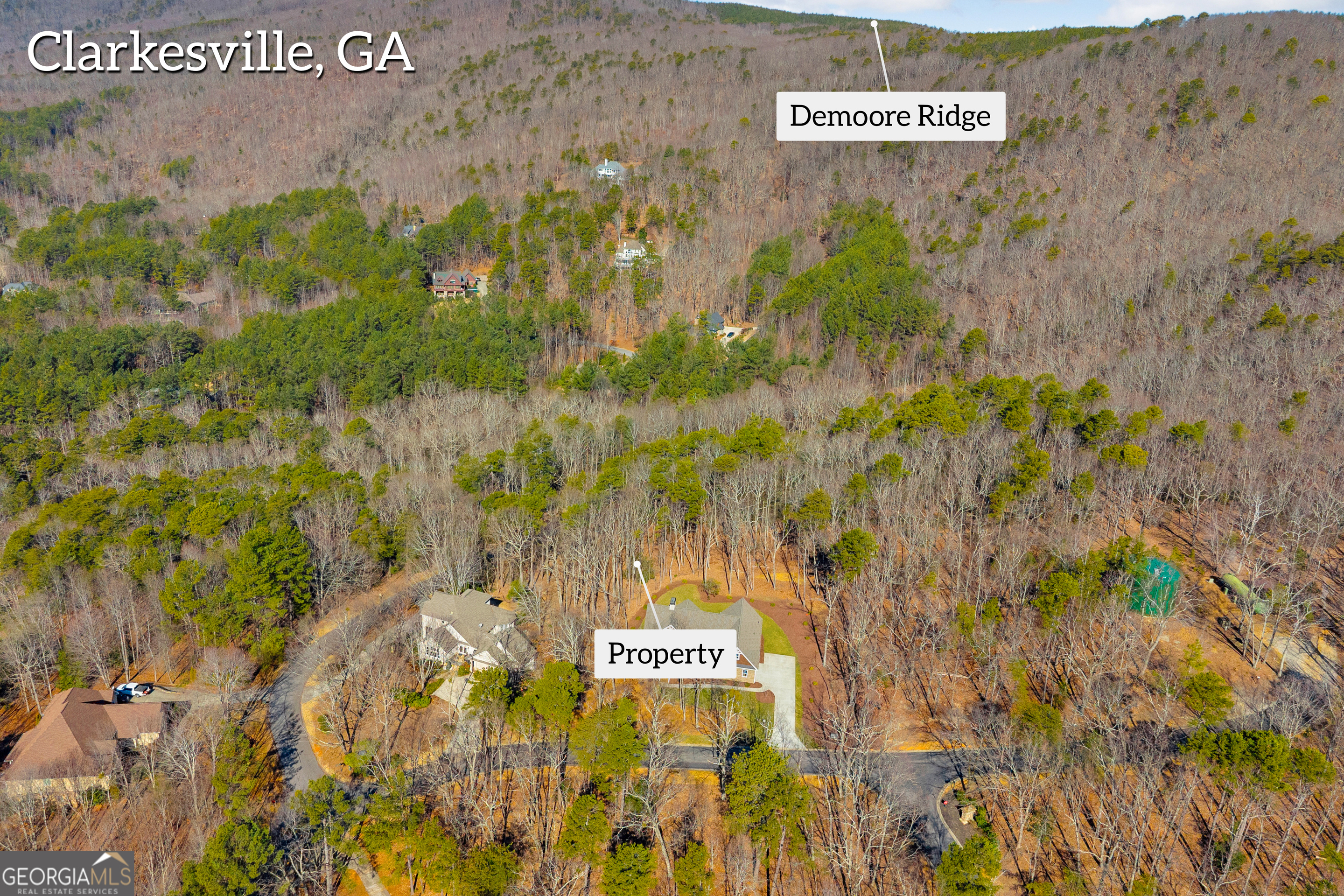 0 Golden Delicious Road Clarkesville GA 30523