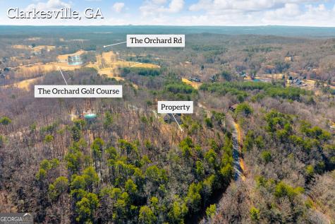 0 Golden Delicious Road Clarkesville GA 30523