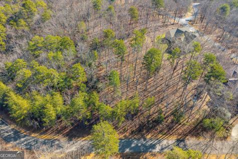 0 Golden Delicious Road Clarkesville GA 30523