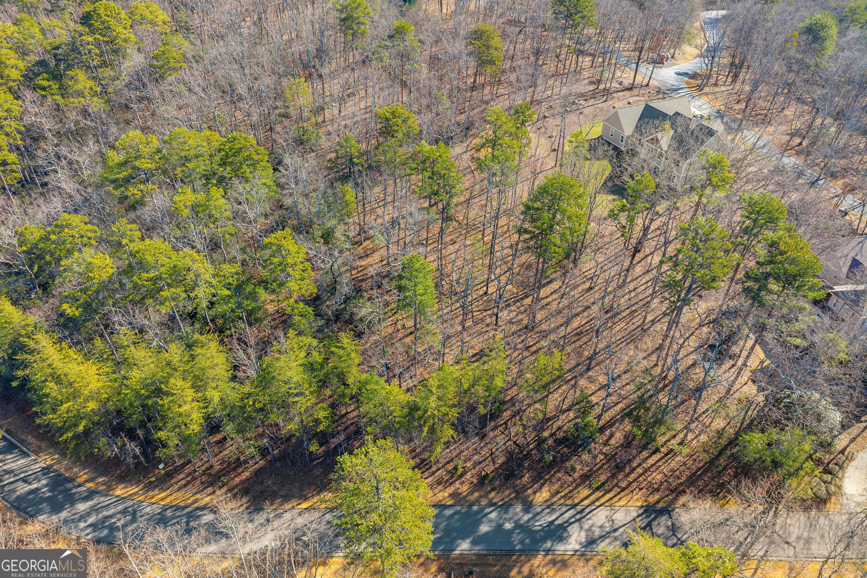 0 Golden Delicious Road Clarkesville GA 30523
