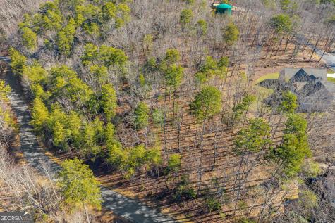 0 Golden Delicious Road Clarkesville GA 30523