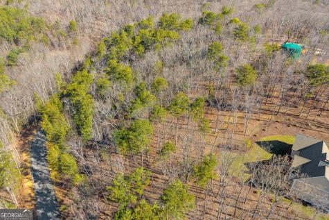 0 Golden Delicious Road Clarkesville GA 30523