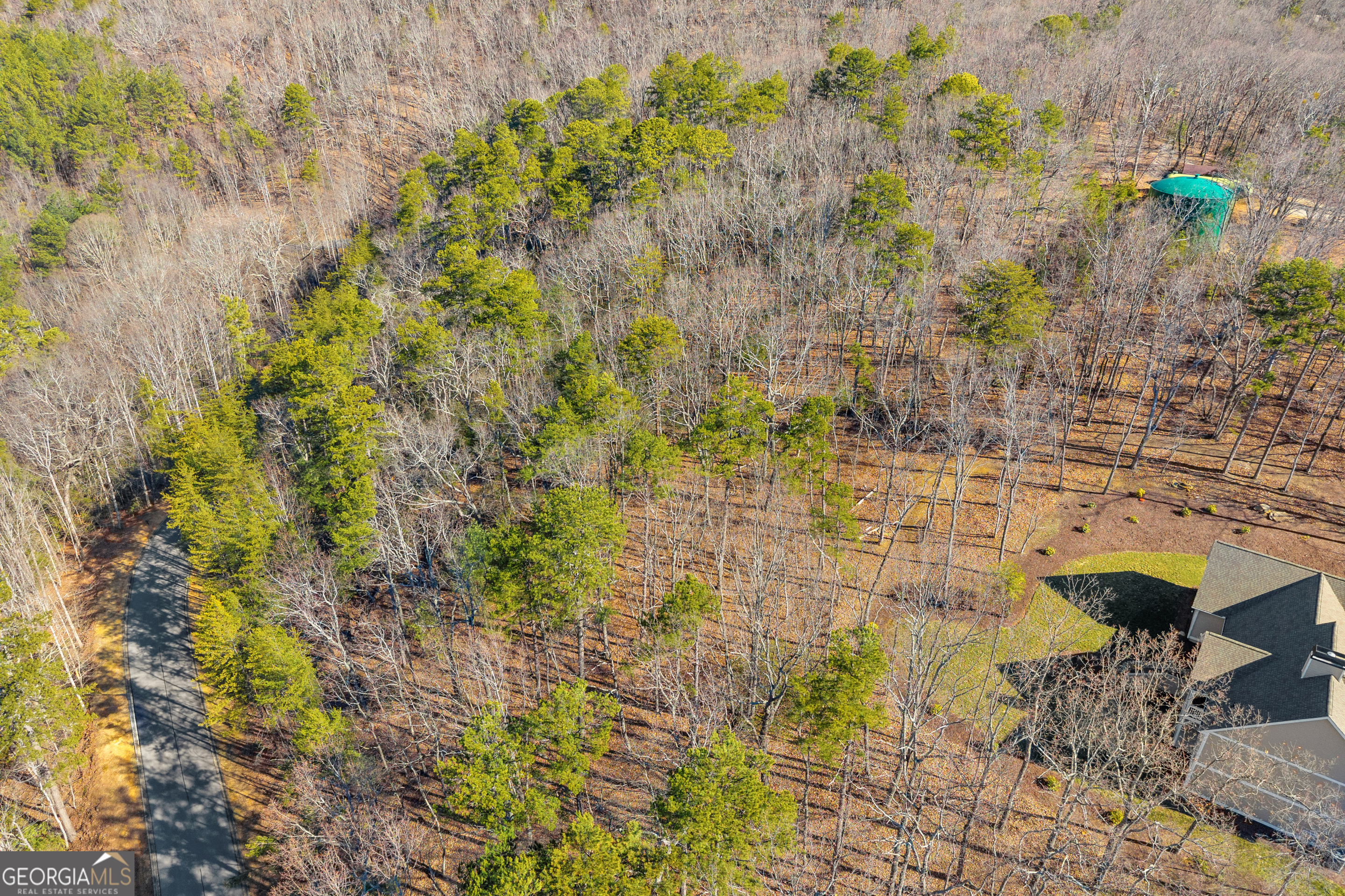 0 Golden Delicious Road Clarkesville GA 30523