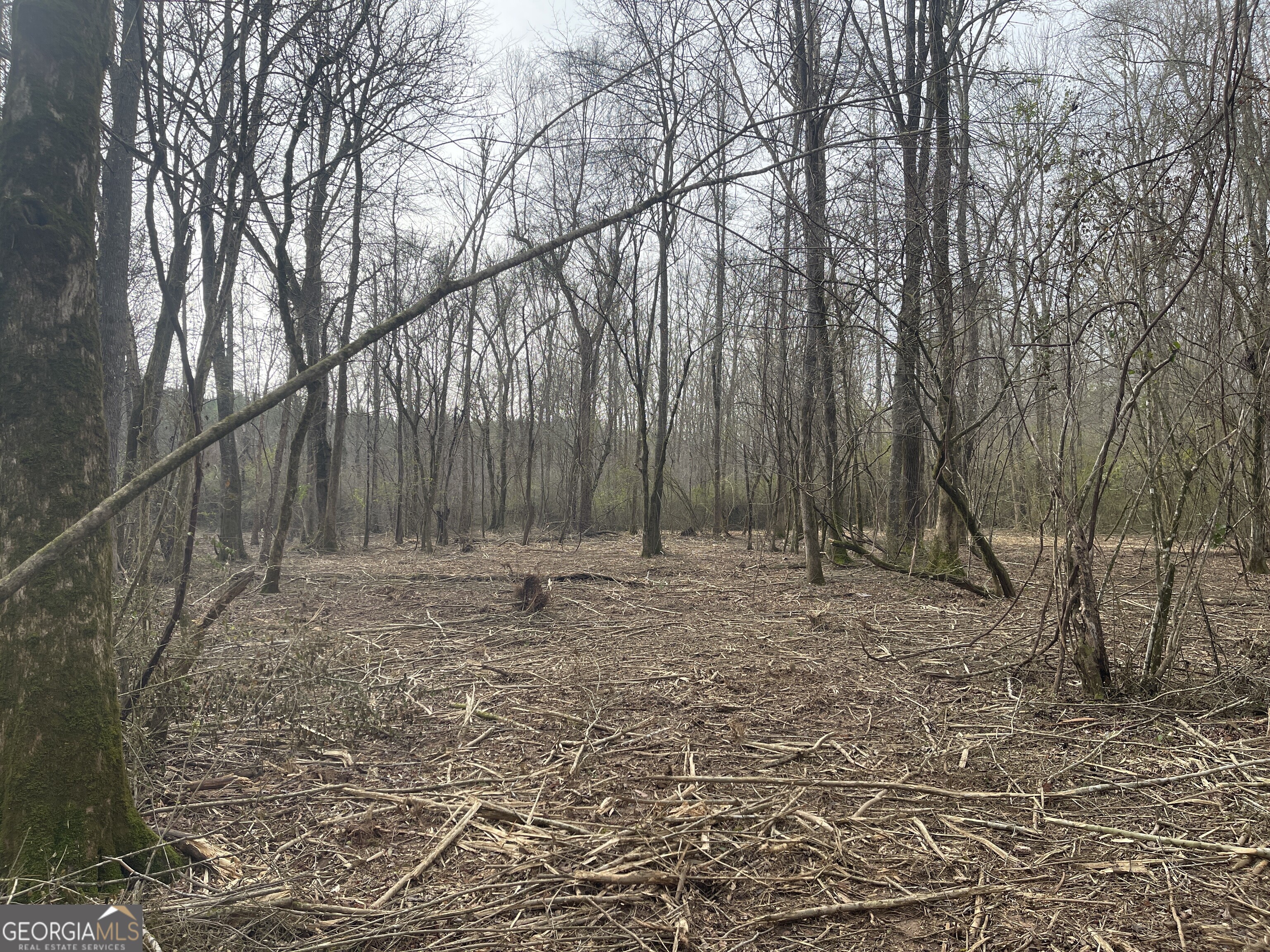 0 Bevis Road Parcel 1 Franklin GA 30217