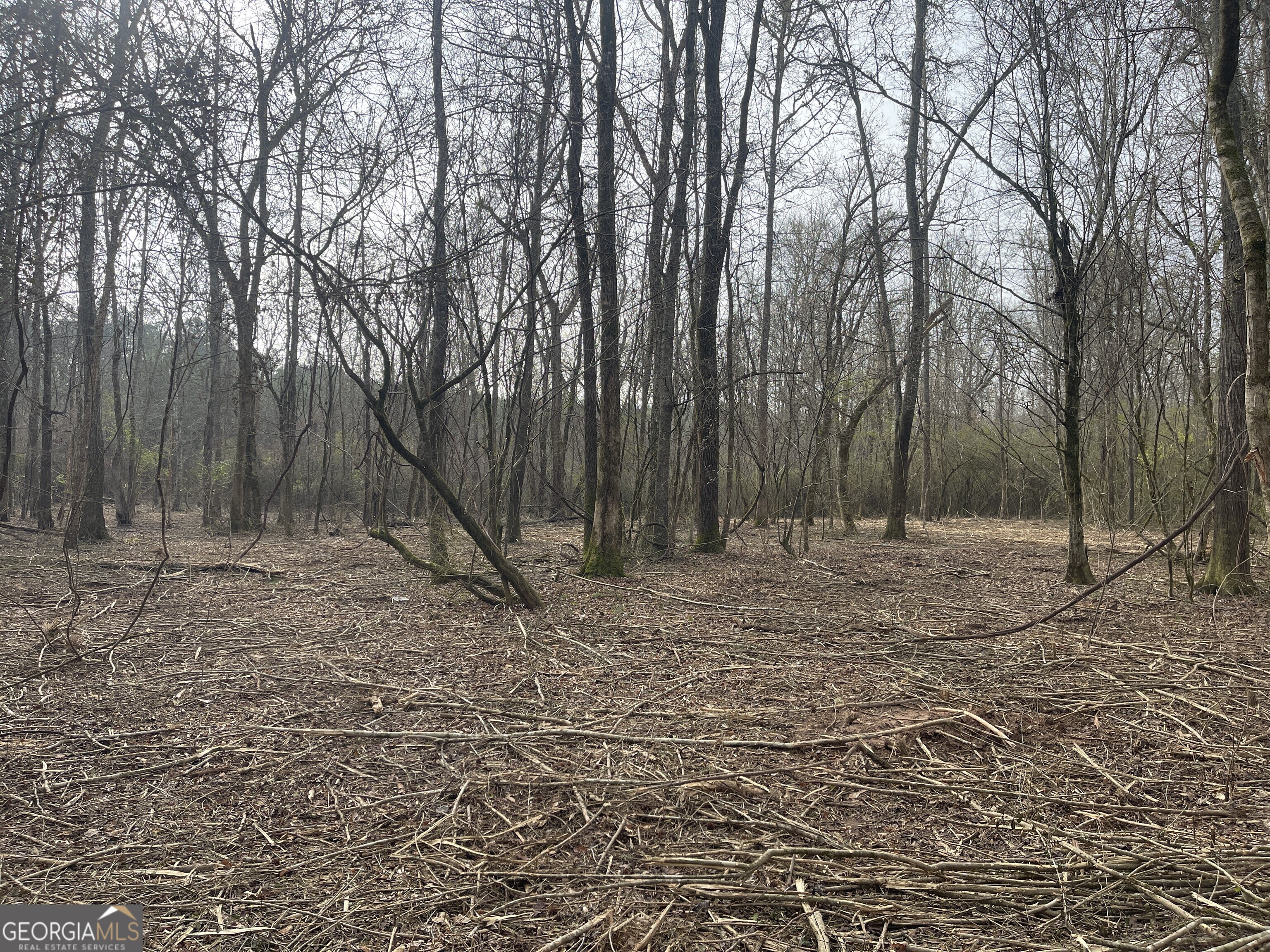 0 Bevis Road Parcel 1 Franklin GA 30217