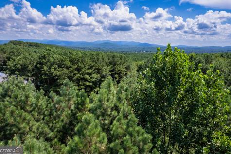 9 Foxpaw Leaf Court East Ellijay GA 30536