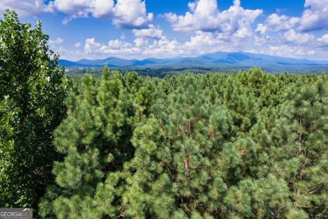 9 Foxpaw Leaf Court East Ellijay GA 30536