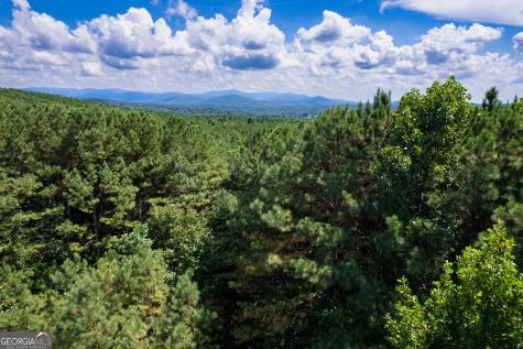 9 Foxpaw Leaf Court East Ellijay GA 30536