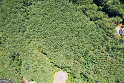 9 Foxpaw Leaf Court East Ellijay GA 30536