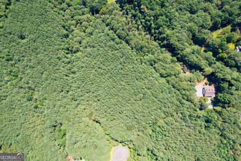 9 Foxpaw Leaf Court East Ellijay GA 30536